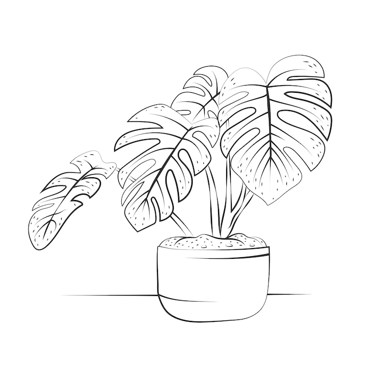 Vecteur gratuit illustration de contour de feuille de monstera dessinée à la main
