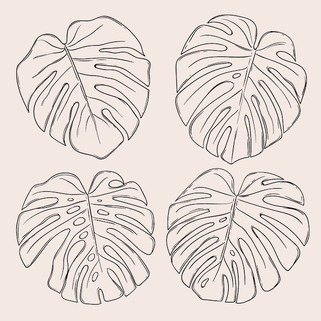 Vecteur gratuit illustration de contour de feuille de monstera dessinée à la main