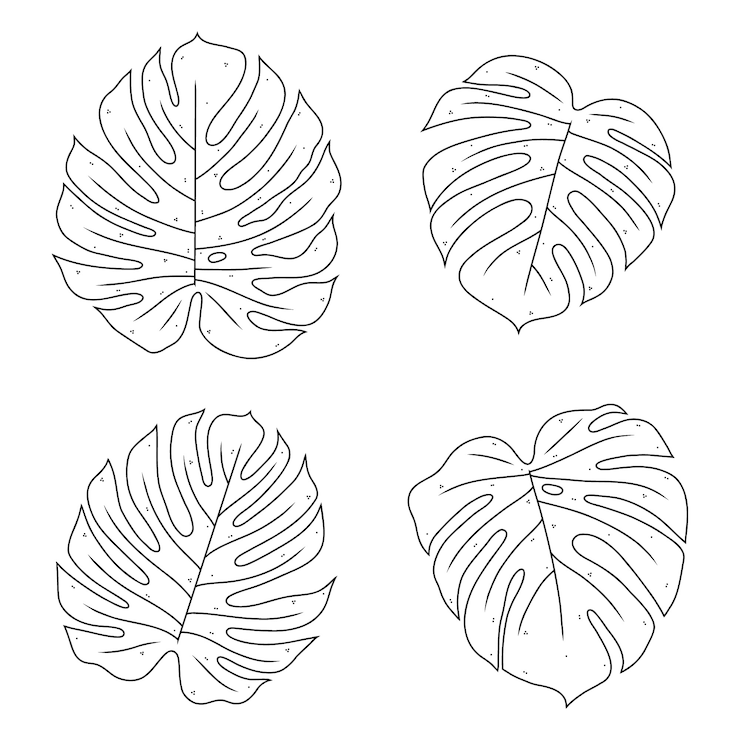 Vecteur gratuit illustration de contour de feuille de monstera dessinée à la main