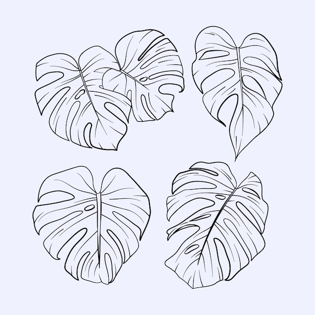 Vecteur gratuit illustration de contour de feuille de monstera dessinée à la main