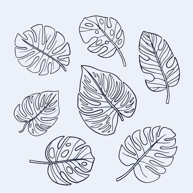 Vecteur gratuit illustration de contour de feuille de monstera dessinée à la main