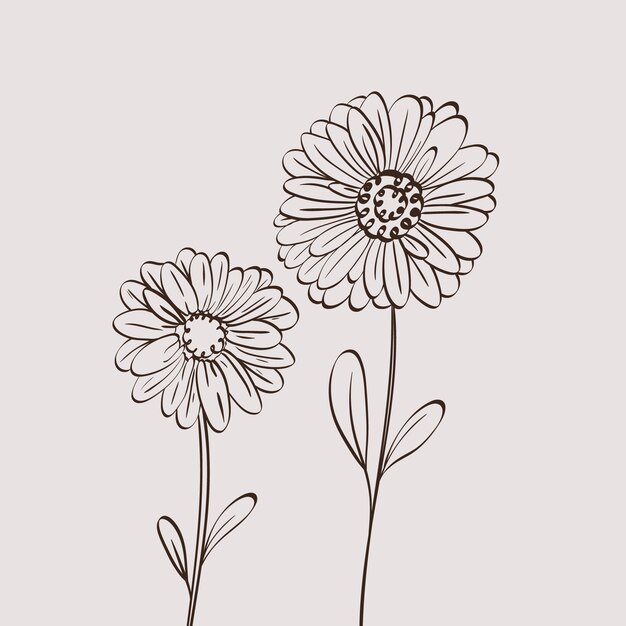 Vecteur gratuit illustration de contour de fleur simple dessiné à la main