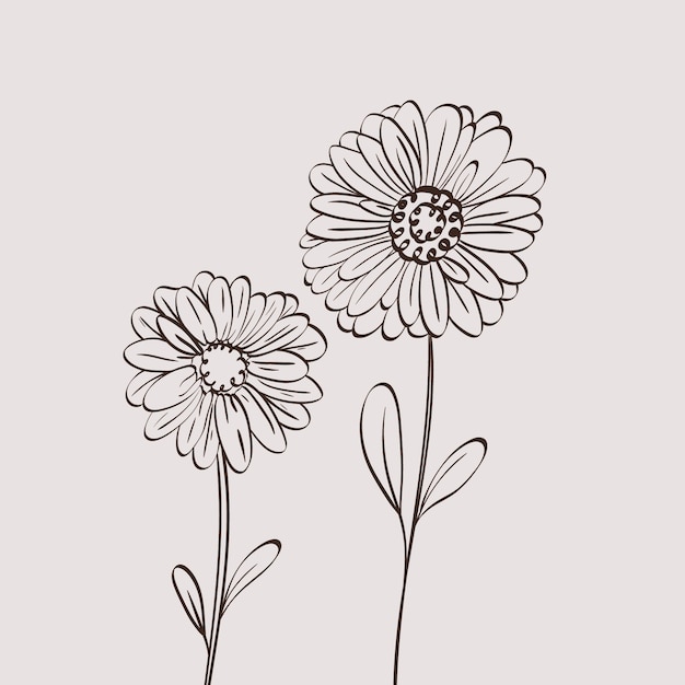 Illustration de contour de fleur simple dessiné à la main