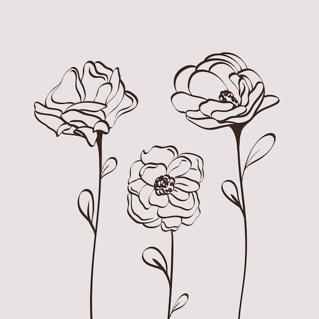 Vecteur gratuit illustration de contour de fleur simple dessiné à la main