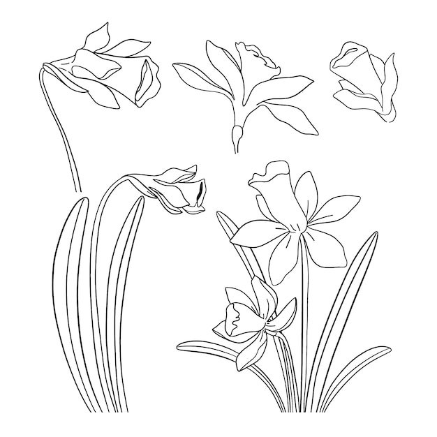 Vecteur gratuit illustration de contour de fleur simple dessiné à la main