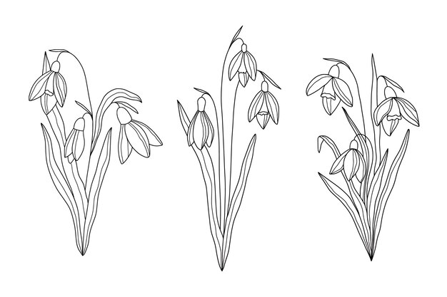 Illustration de contour de fleur simple dessiné à la main
