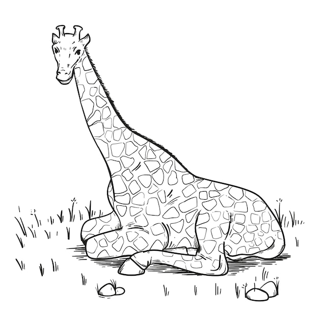 Vecteur gratuit illustration de contour de girafe dessiné à la main