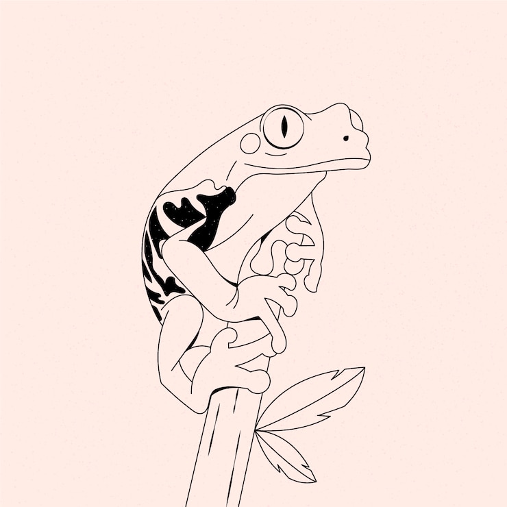Vecteur gratuit illustration de contour de grenouille dessinée à la main