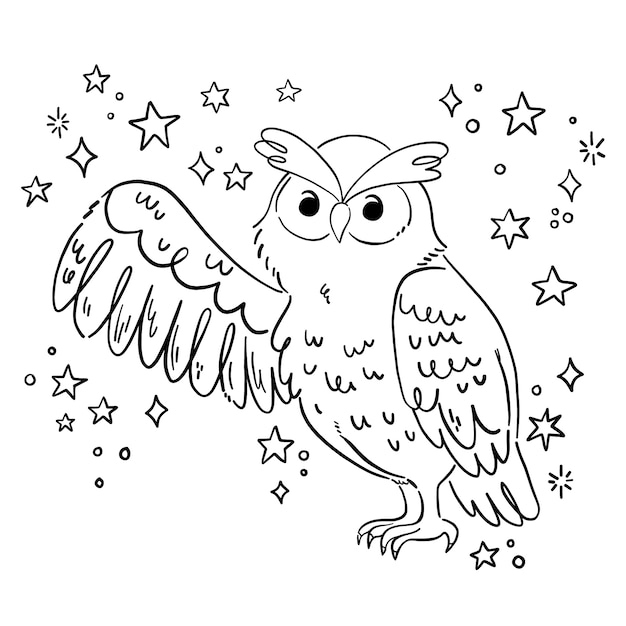 Vecteur gratuit illustration de contour de hibou dessiné à la main