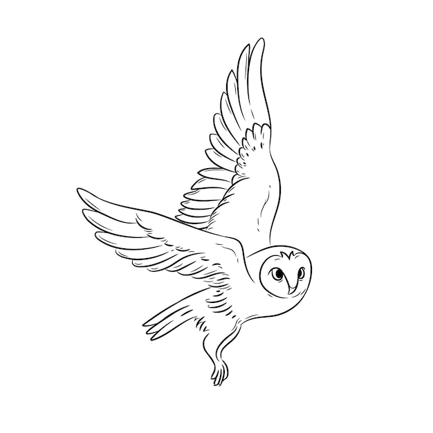 Vecteur gratuit illustration de contour de hibou dessiné à la main