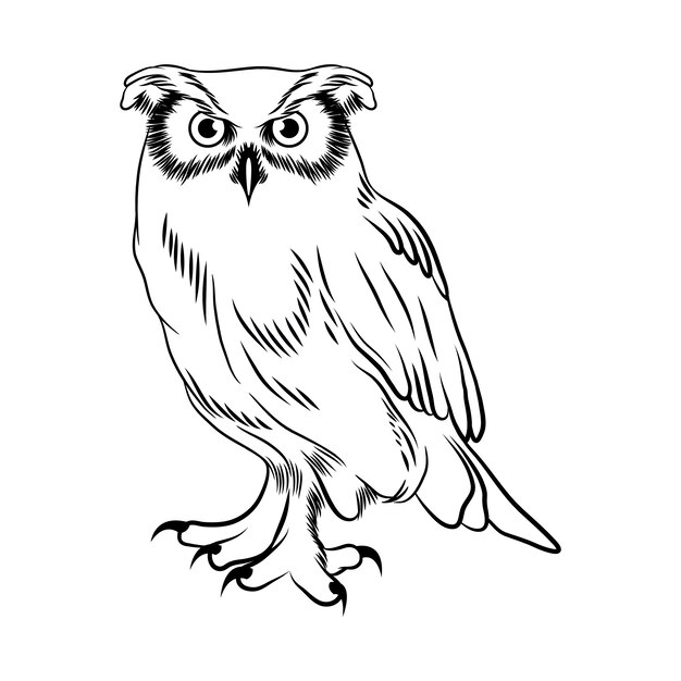 Illustration de contour de hibou dessiné à la main