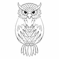 Vecteur gratuit illustration de contour de hibou dessiné à la main