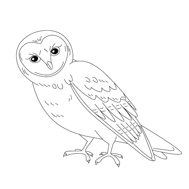 Vecteur gratuit illustration de contour de hibou dessiné à la main