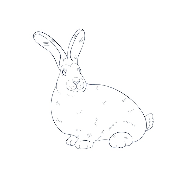Vecteur gratuit illustration de contour de lapin dessiné à la main
