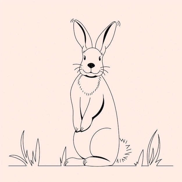 Illustration de contour de lapin dessiné à la main