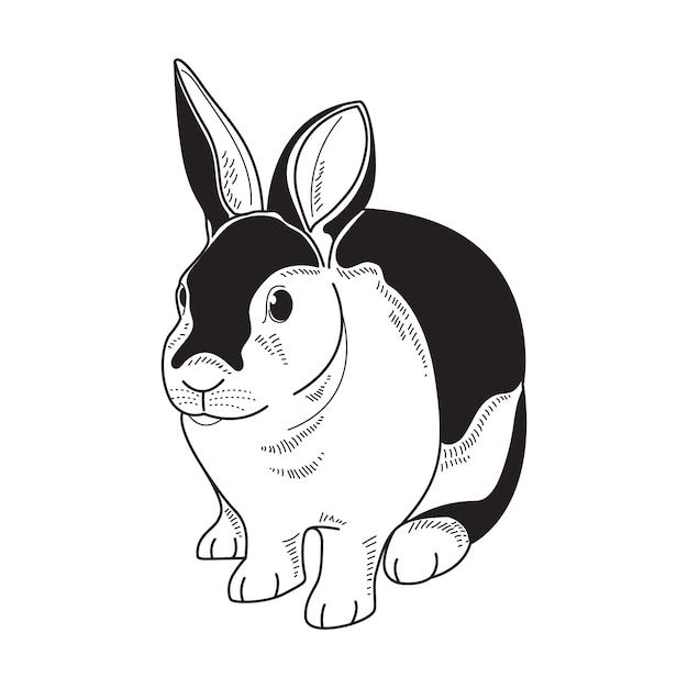 Vecteur gratuit illustration de contour de lapin dessiné à la main