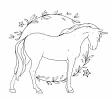 Vecteur gratuit illustration de contour de licorne dessiné à la main