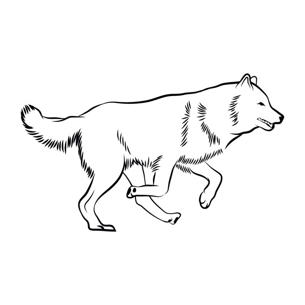 Illustration de contour de loup dessiné à la main