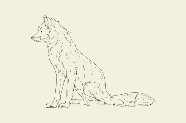 Illustration de contour de loup dessiné à la main