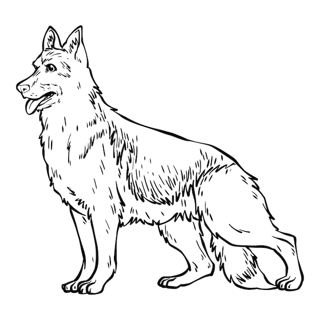 Vecteur gratuit illustration de contour de loup dessiné à la main