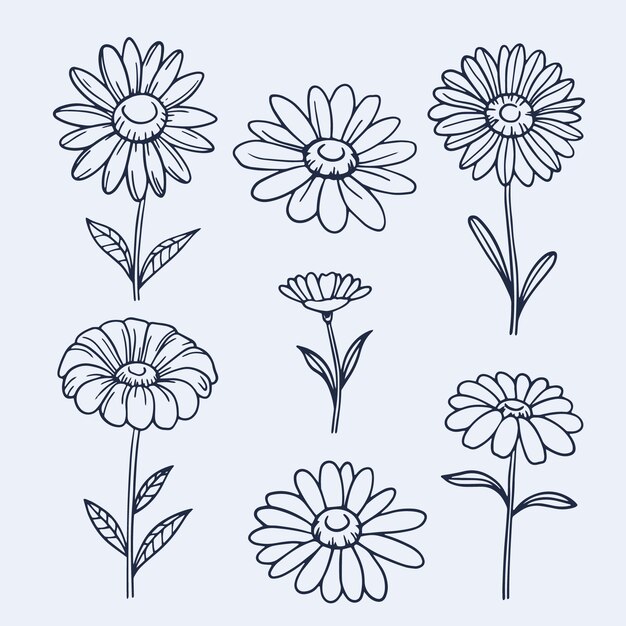 Illustration de contour marguerite dessiné à la main