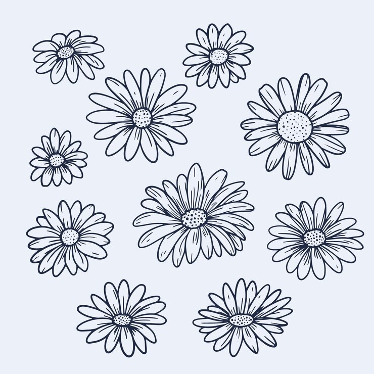 Vecteur gratuit illustration de contour marguerite dessiné à la main
