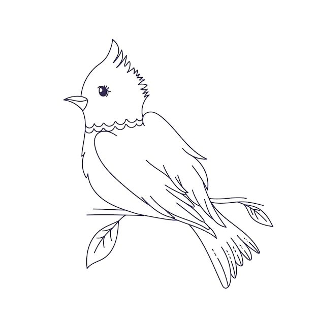 Illustration de contour d'oiseau dessiné à la main