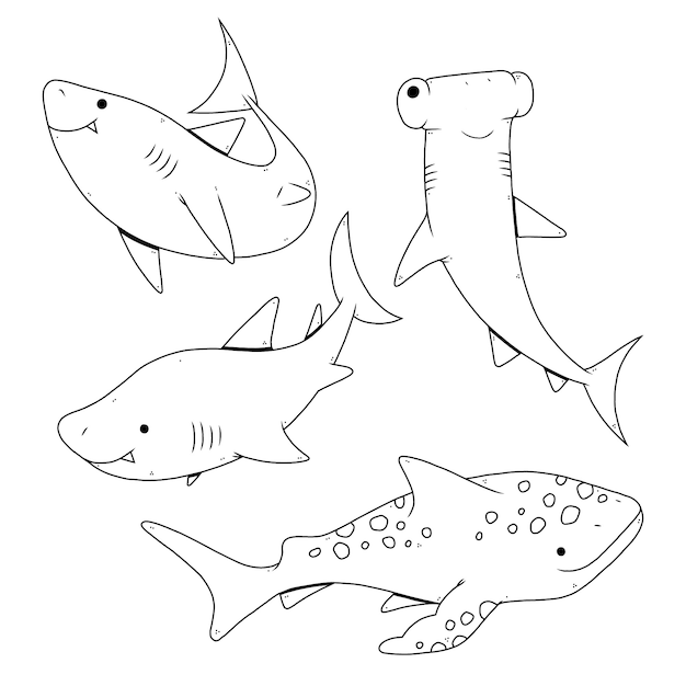 Illustration de contour de requin dessiné à la main