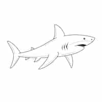 Vecteur gratuit illustration de contour de requin dessiné à la main