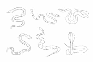 Vecteur gratuit illustration de contour de serpent dessiné à la main