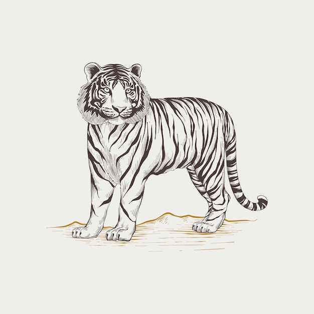 Vecteur gratuit illustration de contour de tigre dessiné à la main