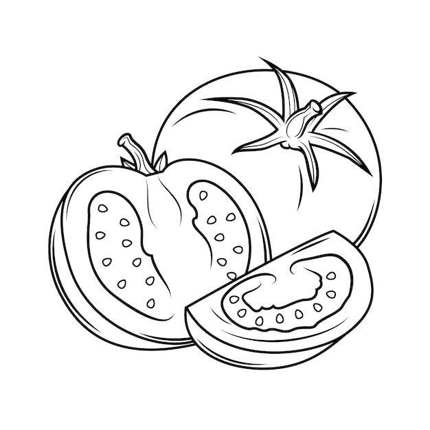 Vecteur gratuit illustration de contour de tomate dessinée à la main