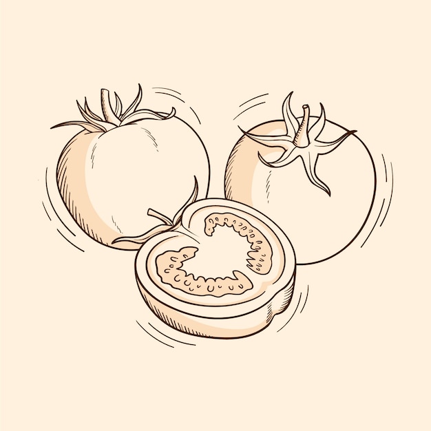Vecteur gratuit illustration de contour de tomate dessinée à la main