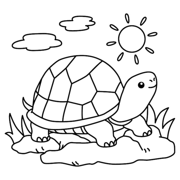 Illustration De Contour De Tortue Dessinée à La Main