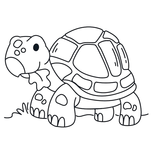 Vecteur gratuit illustration de contour de tortue dessinée à la main
