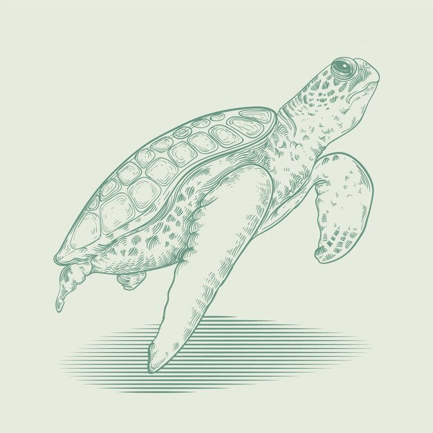 Illustration de contour de tortue dessinée à la main