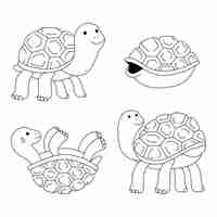 Vecteur gratuit illustration de contour de tortue dessinée à la main