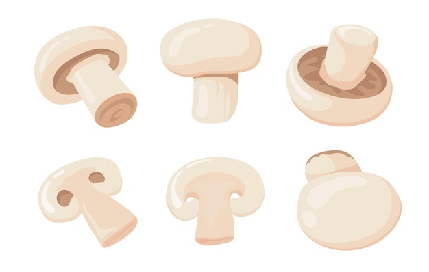 Vecteur gratuit illustration de dessin animé de champignons