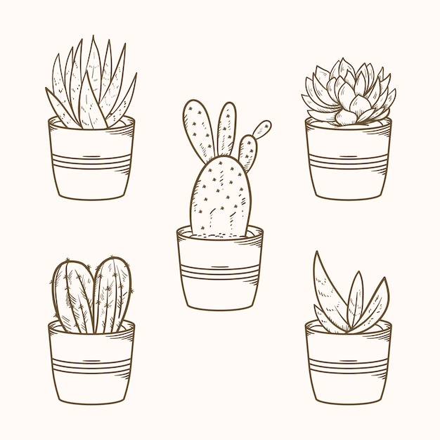 Illustration De Dessin De Cactus Dessiné à La Main