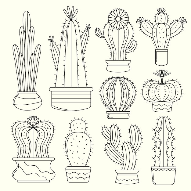 Illustration de dessin de cactus dessiné à la main