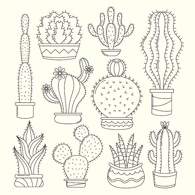 Illustration de dessin de cactus dessiné à la main