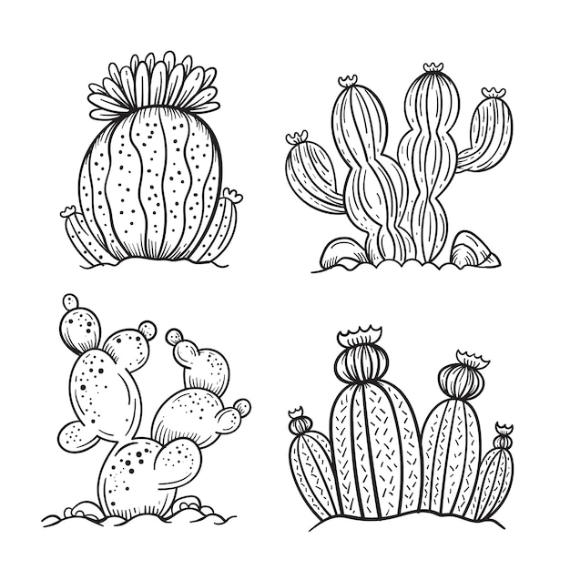 Vecteur gratuit illustration de dessin de cactus dessiné à la main