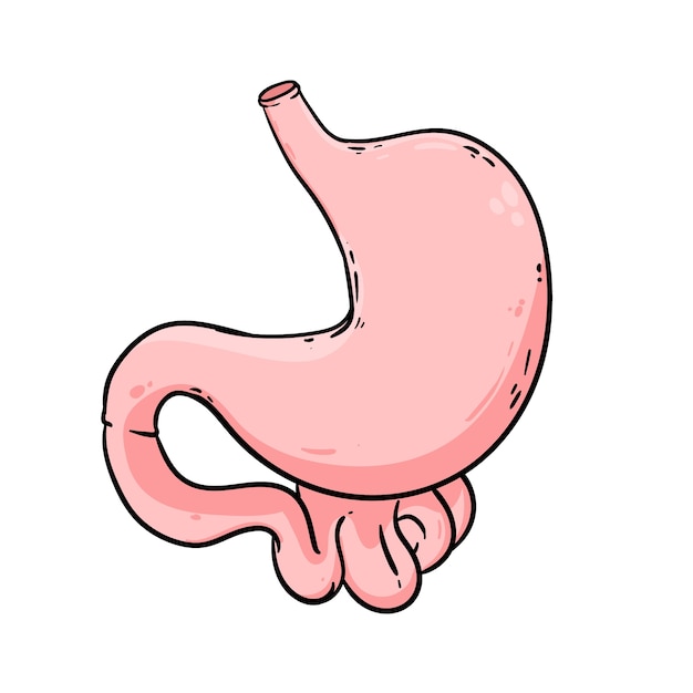 Vecteur gratuit illustration de dessin d'estomac dessinée à la main