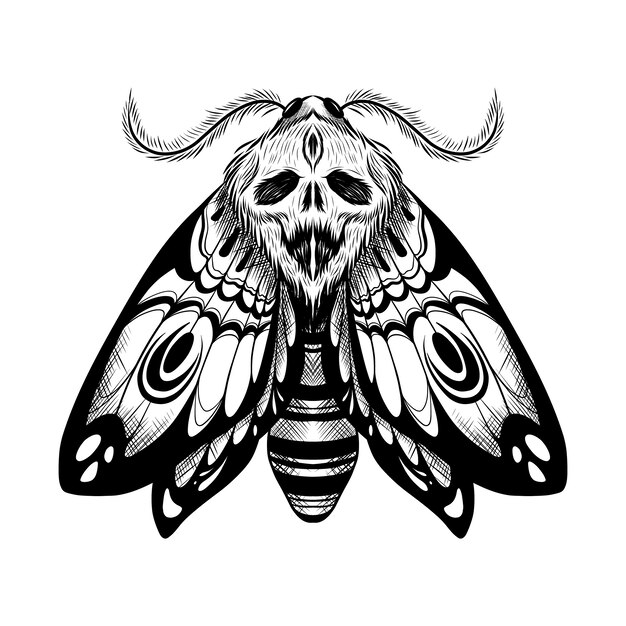 Illustration de dessin de papillon de mort dessiné à la main