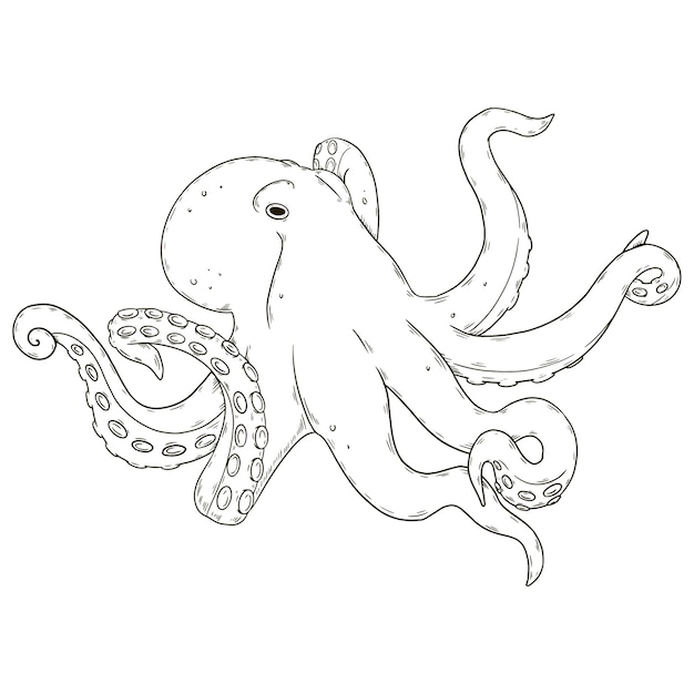 Vecteur gratuit illustration de dessin de poulpe dessiné à la main
