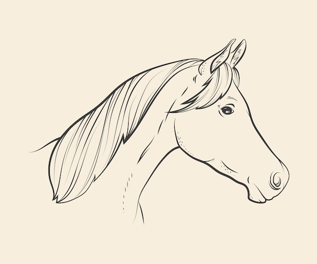 Illustration de dessin de tête de cheval dessinée à la main