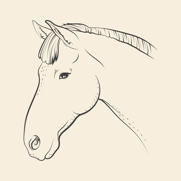 Illustration de dessin de tête de cheval dessinée à la main