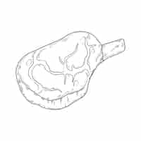 Vecteur gratuit illustration de dessin de viande dessinée à la main