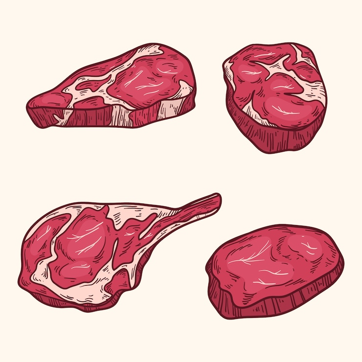 Vecteur gratuit illustration de dessin de viande dessinée à la main