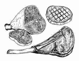 Vecteur gratuit illustration de dessin de viande dessinée à la main